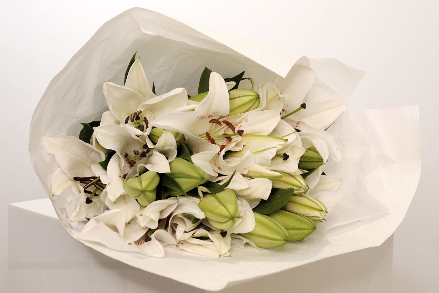 10 Stems