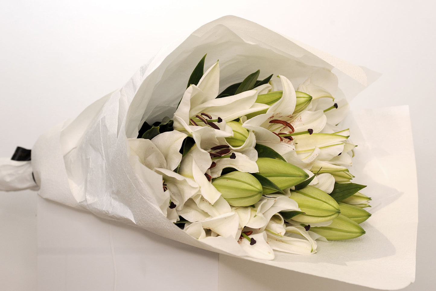 20 Stems