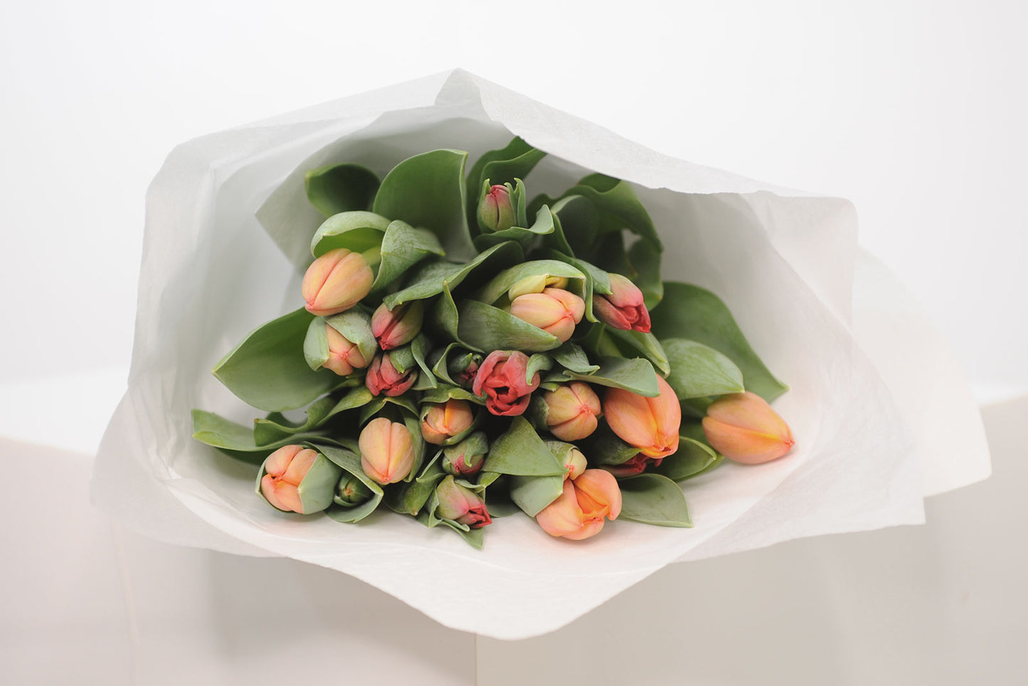 30 Stems