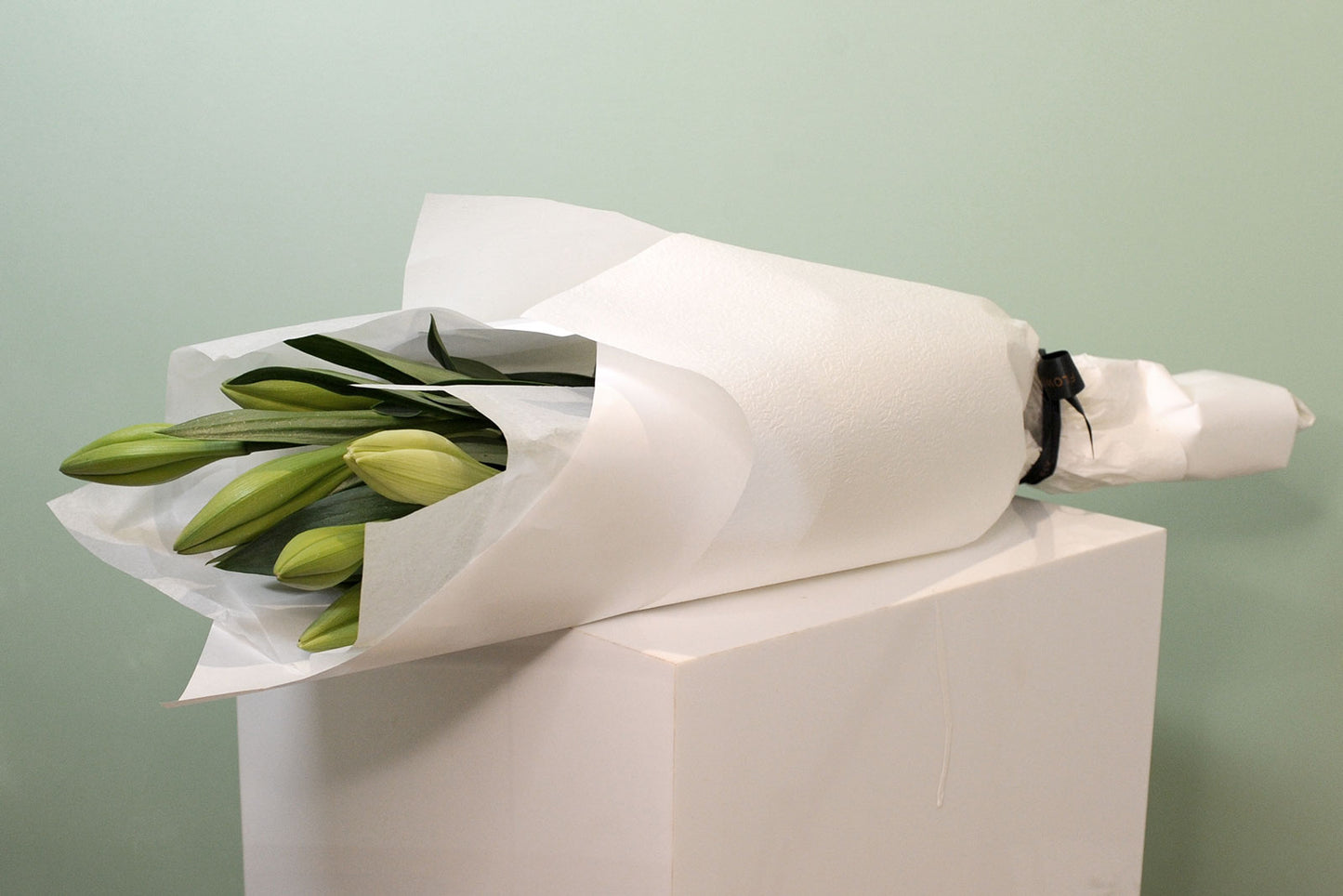 3 Bunches (15 stems) / 2