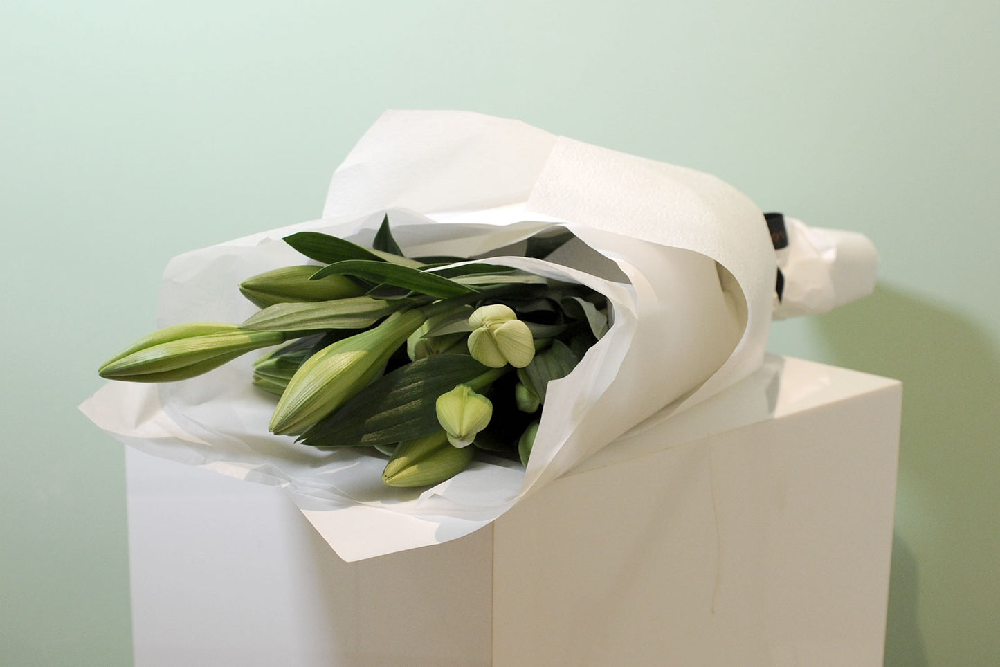 4 Bunches (20 stems) / 3