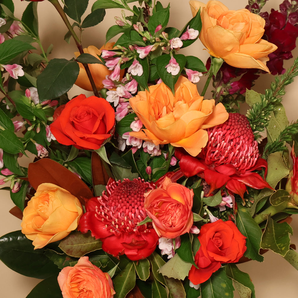 Belly Vase - Brights
