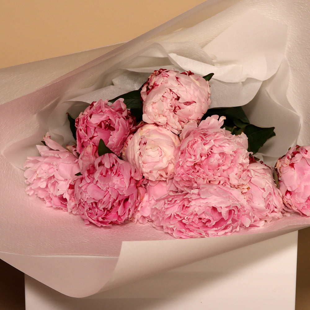Bunch of Peonies - Soft Pink