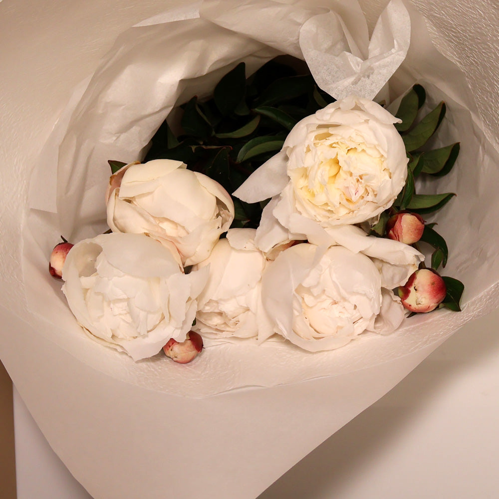 Bunch of Peonies - White