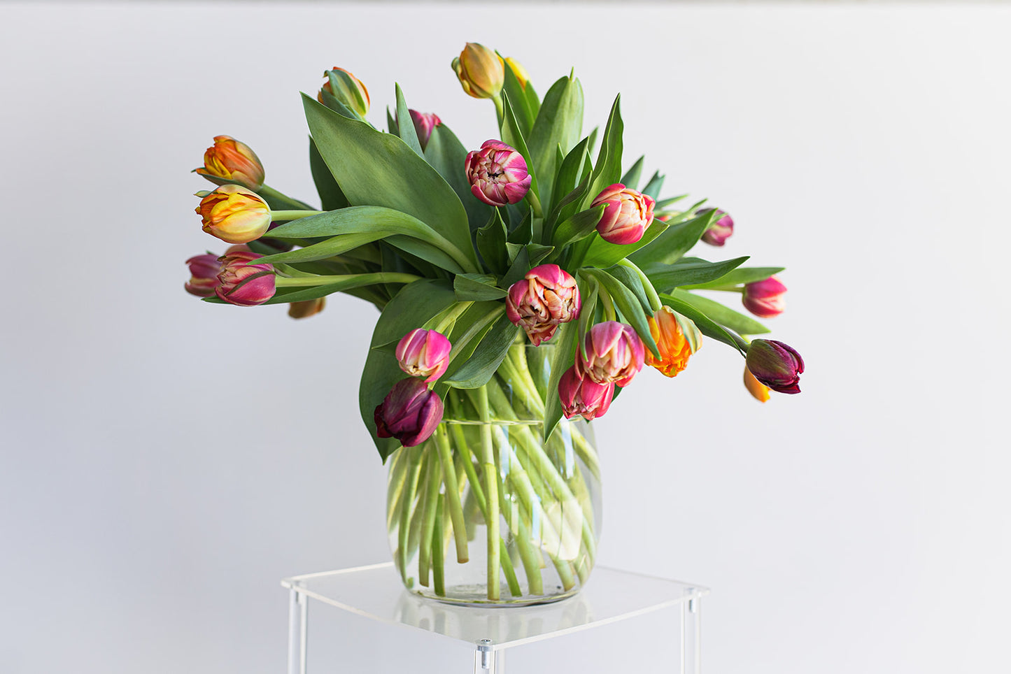 30 Stems