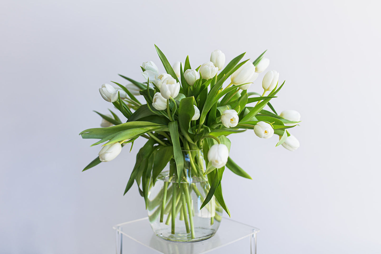 40 Stems