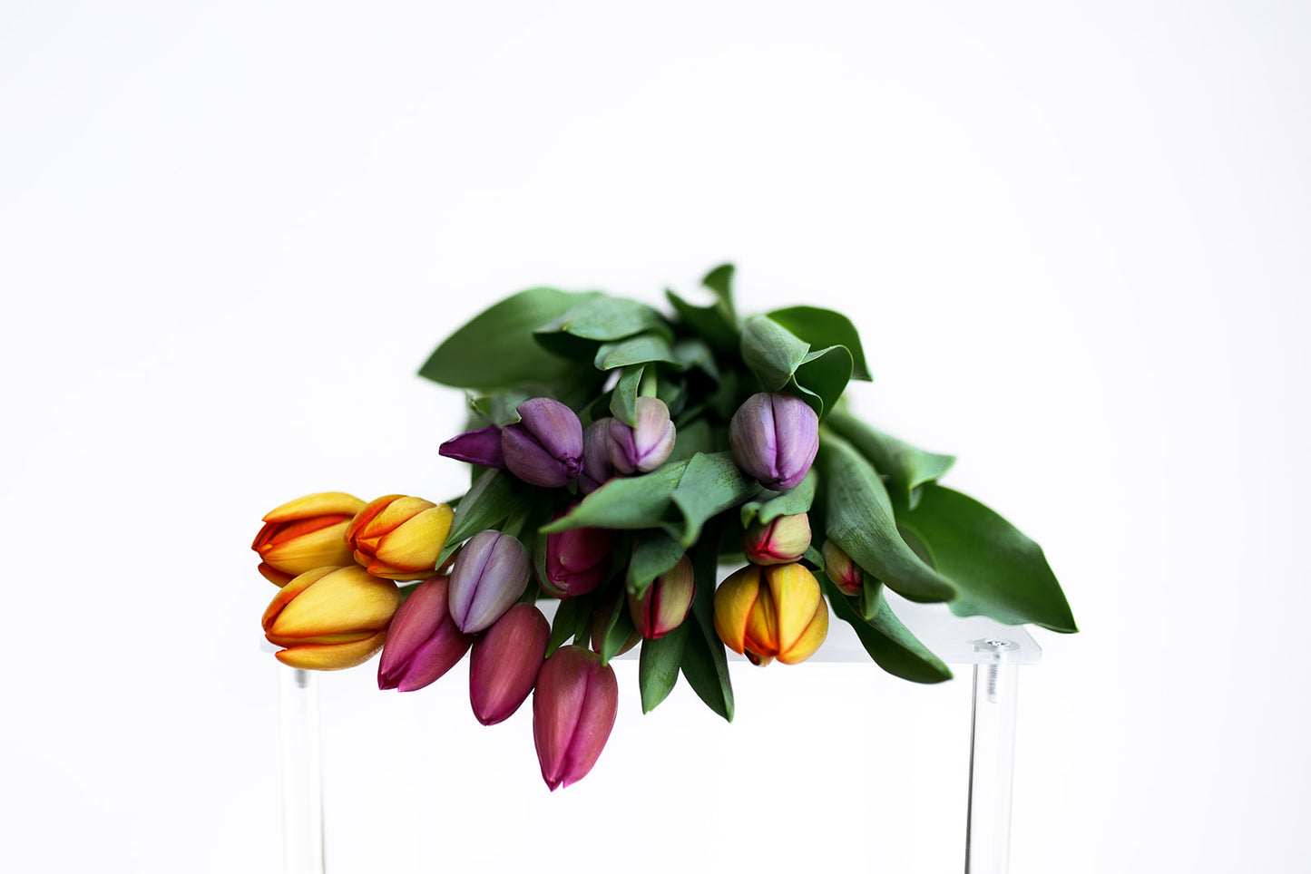 10 Stems