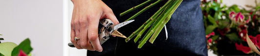 Caring for Your Flower Fix