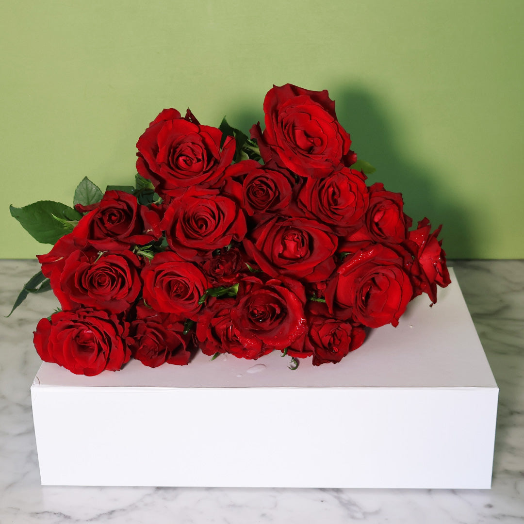 50cm Valentine's Red Roses