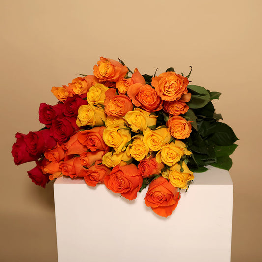 40CM Roses - Brights