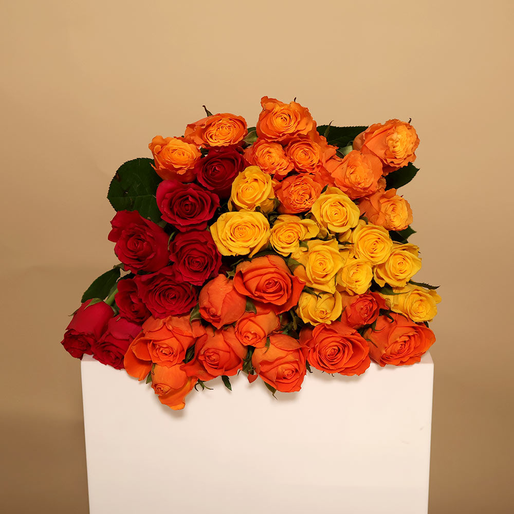 40CM Roses - Brights