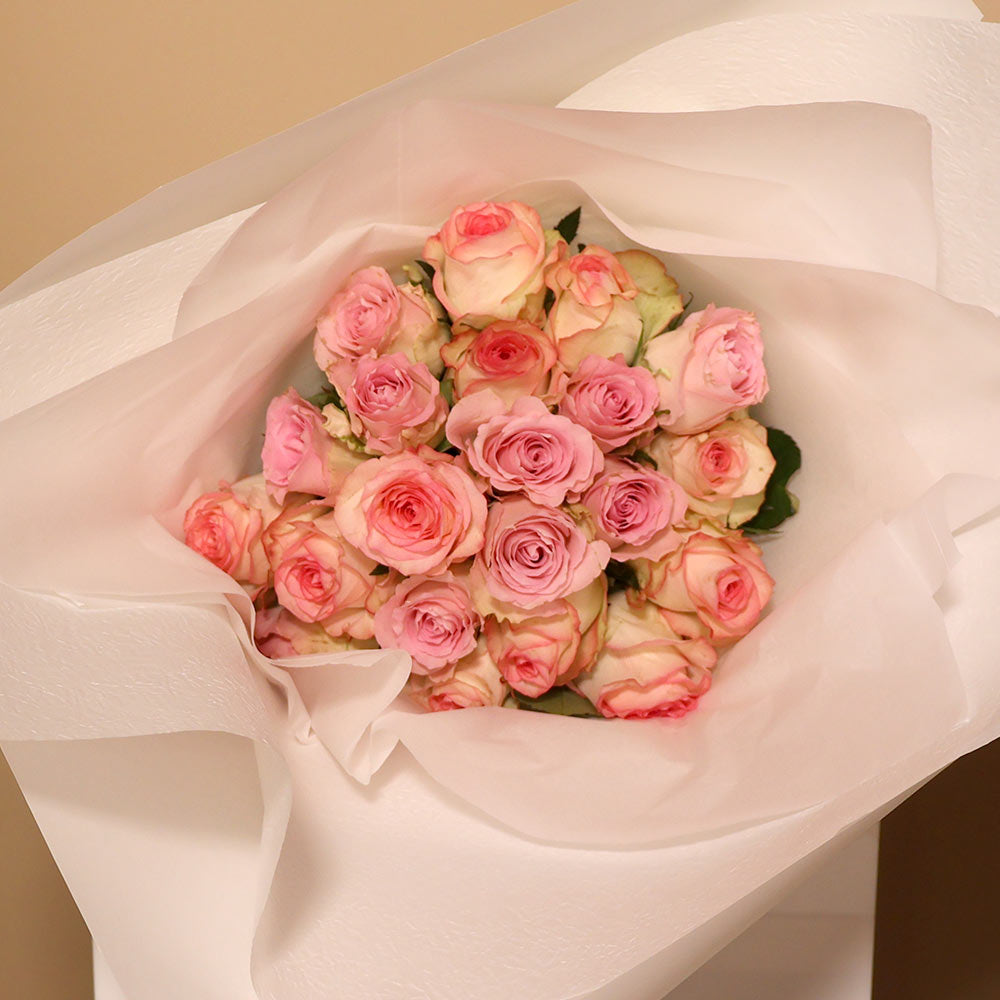 40CM Roses - Softs