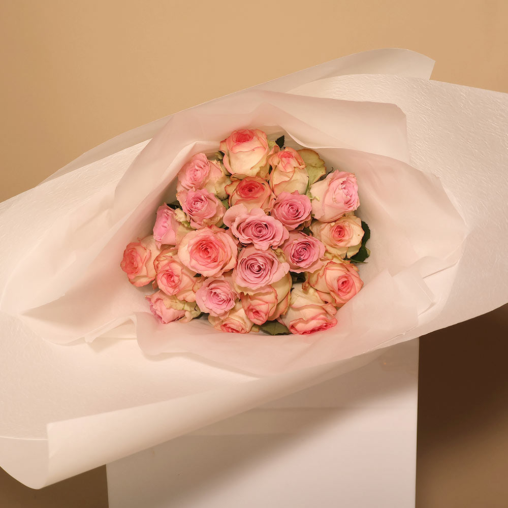 40CM Roses - Softs