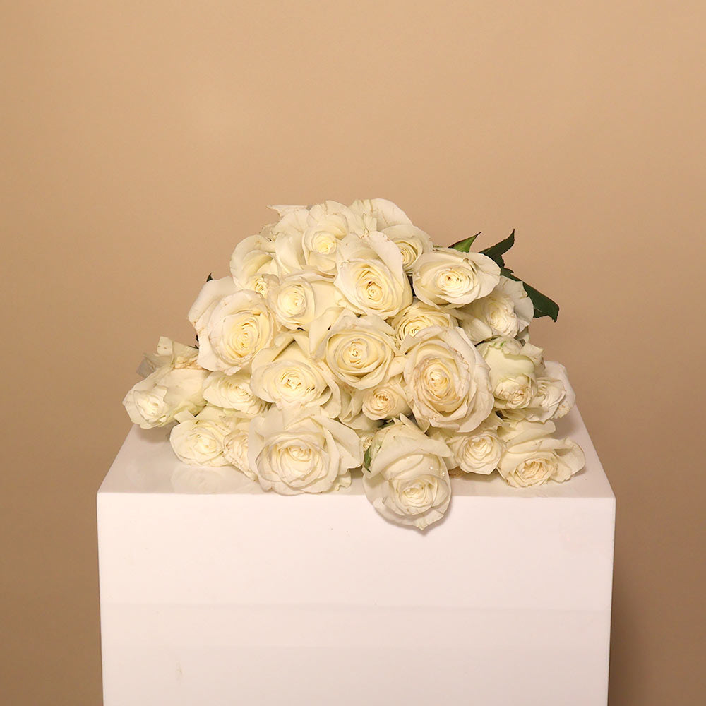 40CM Roses - Neutrals