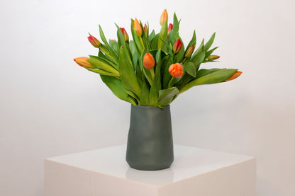 10 Stems