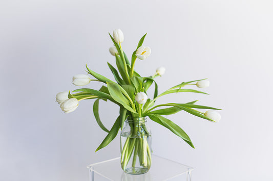 10 Stems