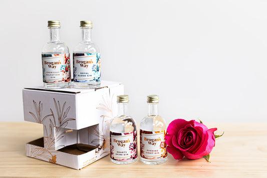 Brogan's Way 4x50ml Gin Taster Gift Pack